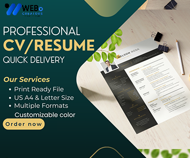 Elegant Resume Design Service, CV designs, CV writing in Indianapolis For Gain Job